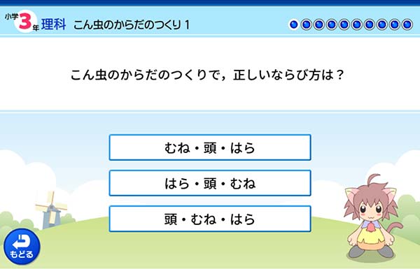 タブレット学習 3年　理科「こん虫のからだのつくり」