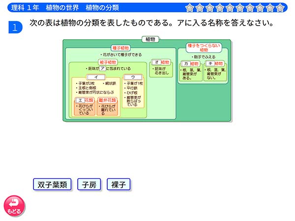 タブレット学習 中学1年　理科「植物の世界　植物の分類」