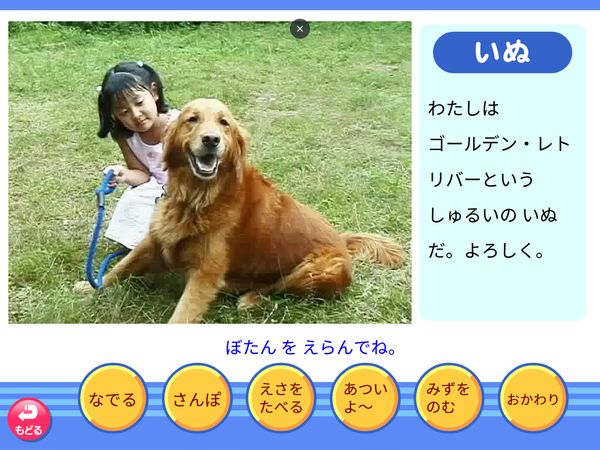 生活「どうぶつ　いぬ」