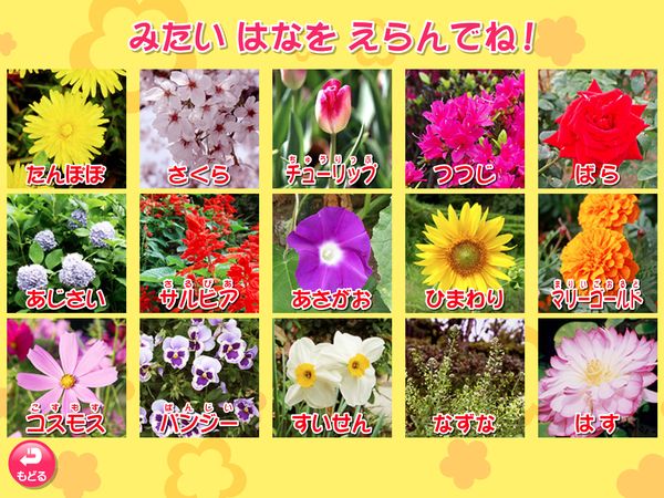 生活「はなを　みよう」