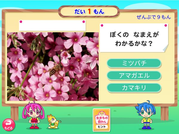 タブレット学習 生活「生きものクイズ　ミツバチ」