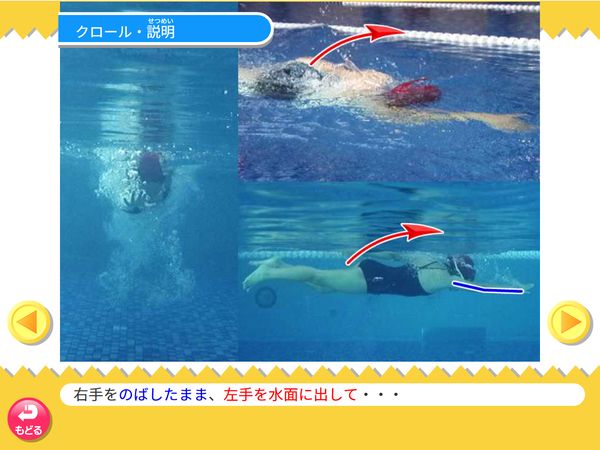 タブレット学習 体育「水泳　クロール」