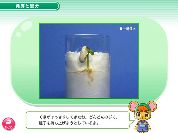 タブレット学習 理科「植物の成長　発芽と養分」