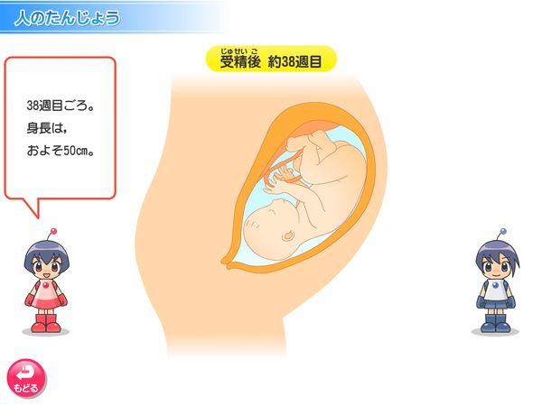 タブレット学習 理科「人のたんじょう」